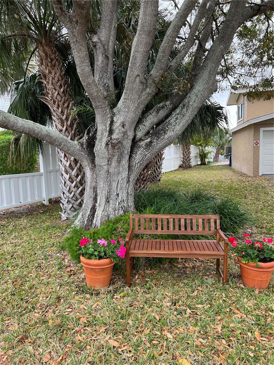 Image 6 of 44 For 835 Gulf Boulevard 101