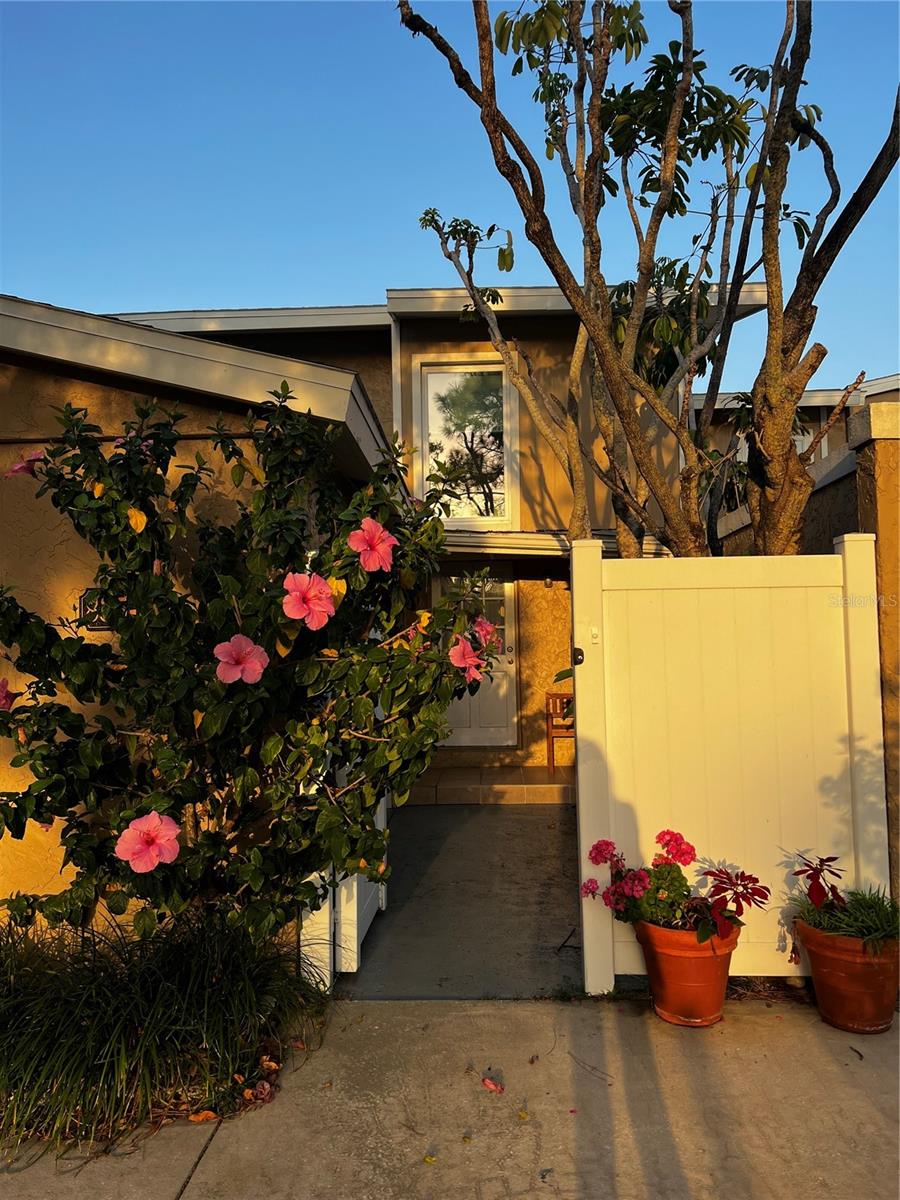 Image 7 of 44 For 835 Gulf Boulevard 101