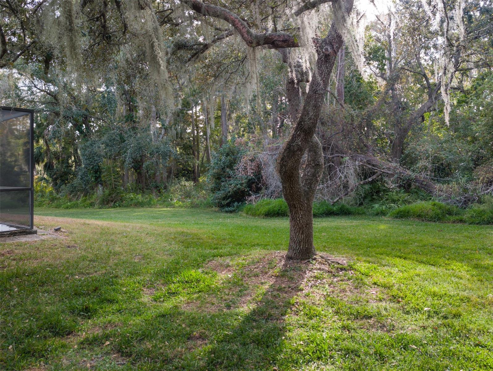 Image 41 of 61 For 346 Carson Lane