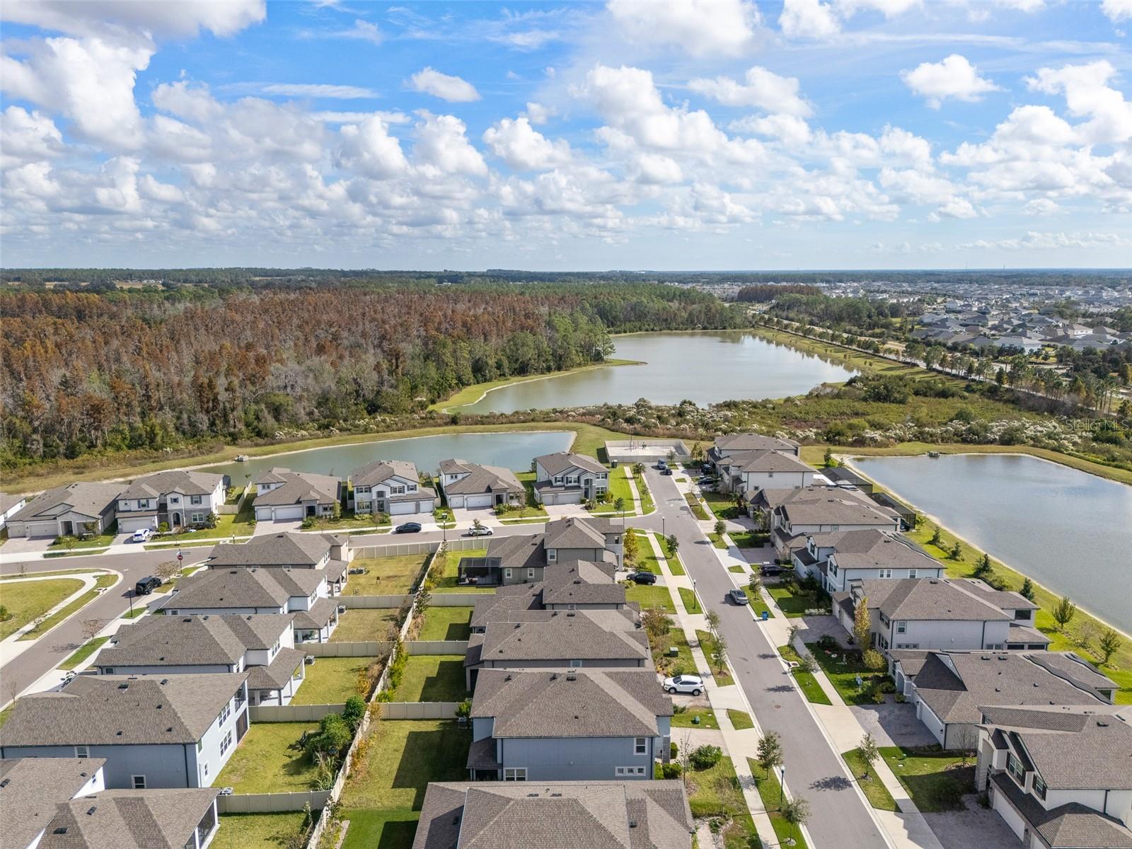 Image 39 of 42 For 33251 Sycamore Leaf Drive