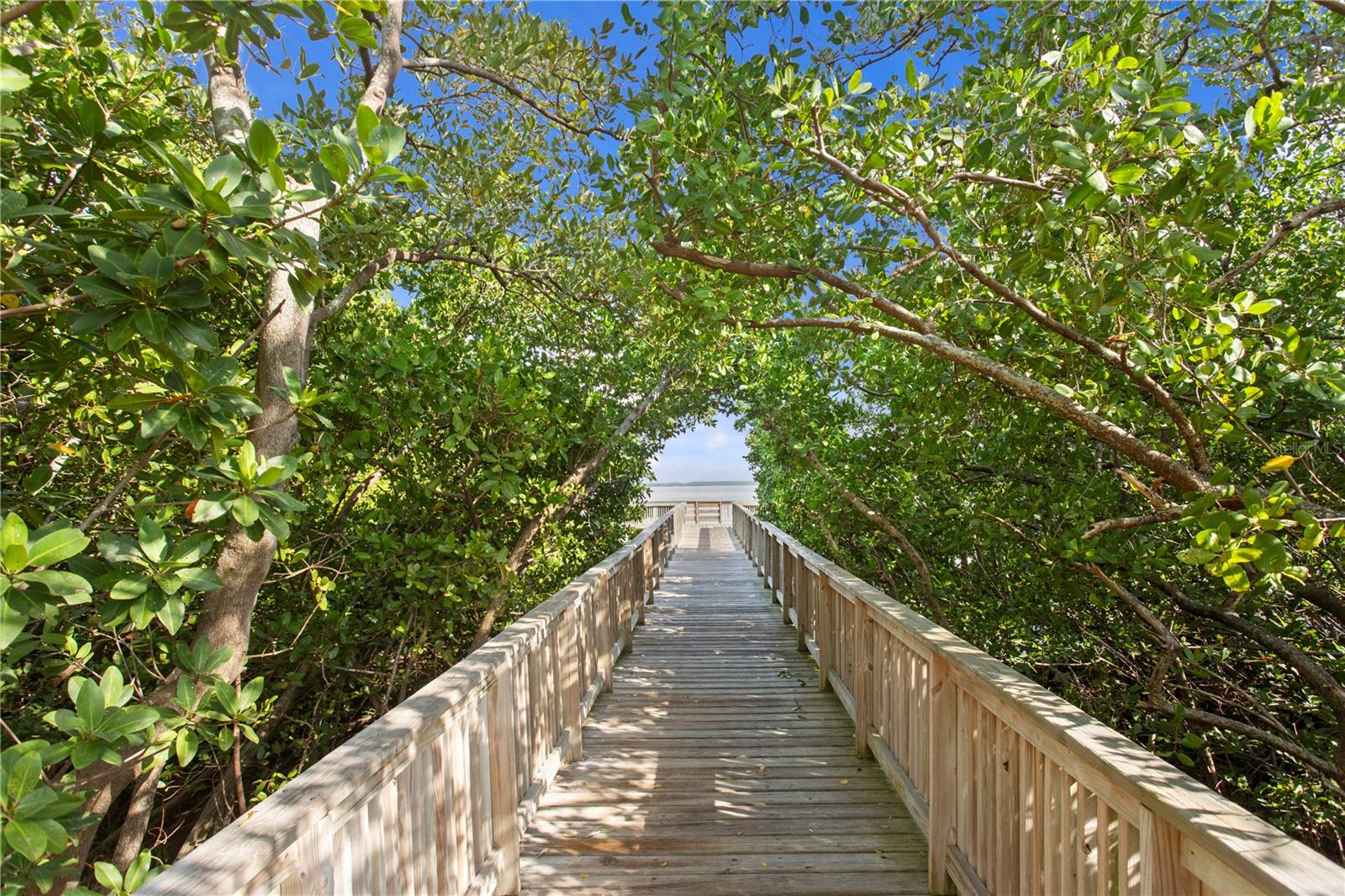 Image 41 of 44 For 3023 Pointeview Drive