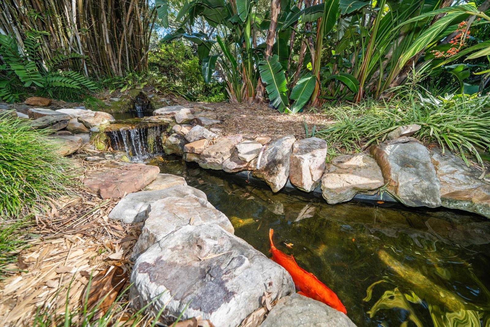 Image 50 of 76 For 2617 Beagle Path Way