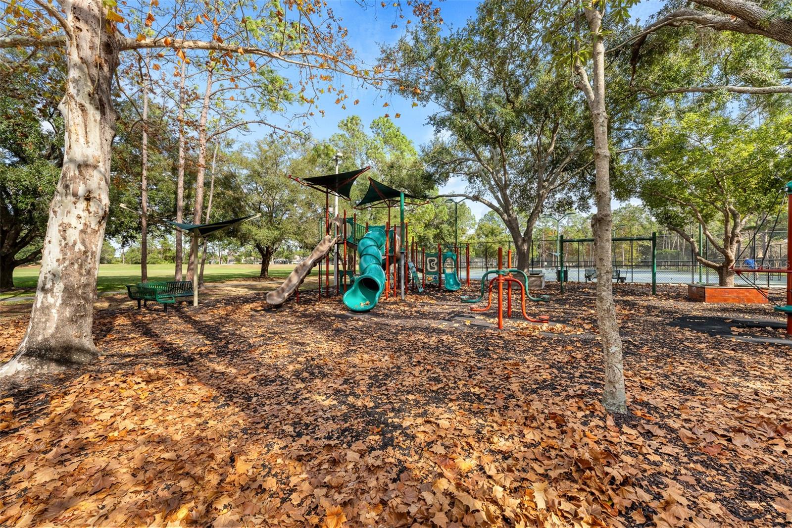 Image 33 of 67 For 9481 Highland Oak Drive 1709