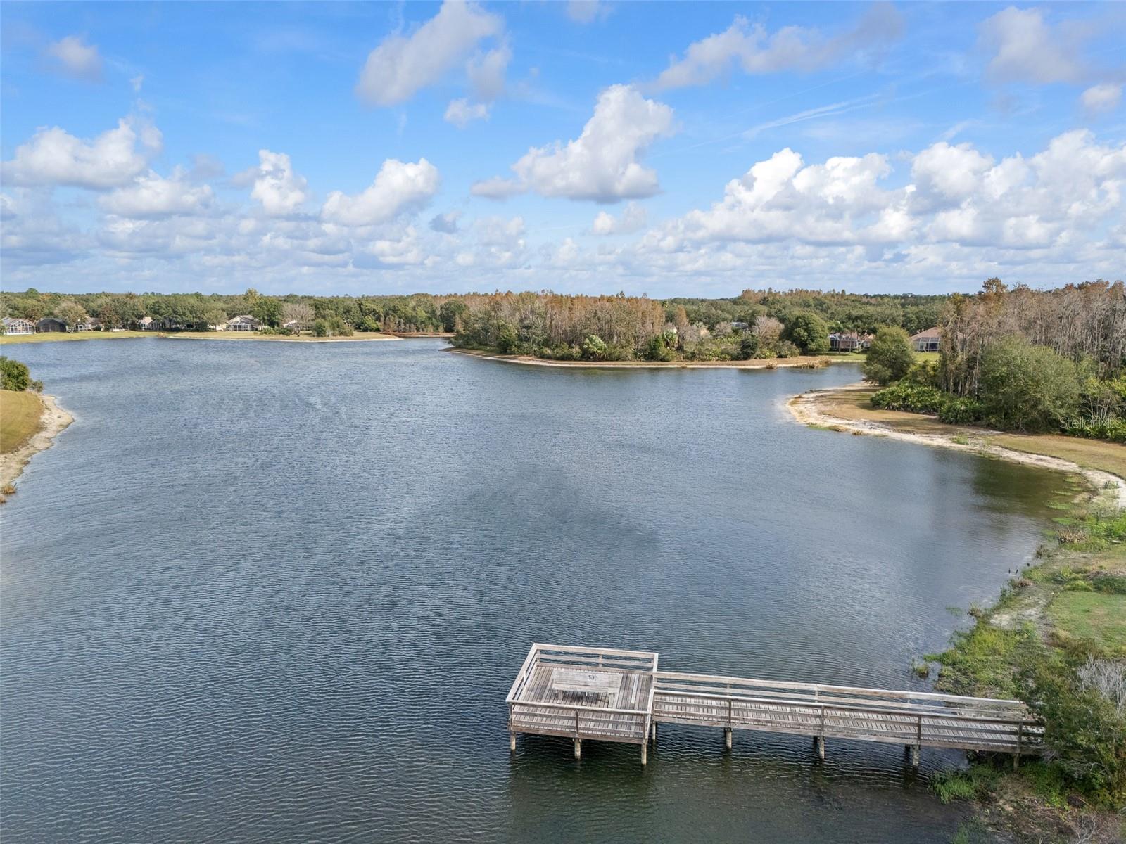 Image 50 of 67 For 9481 Highland Oak Drive 1709