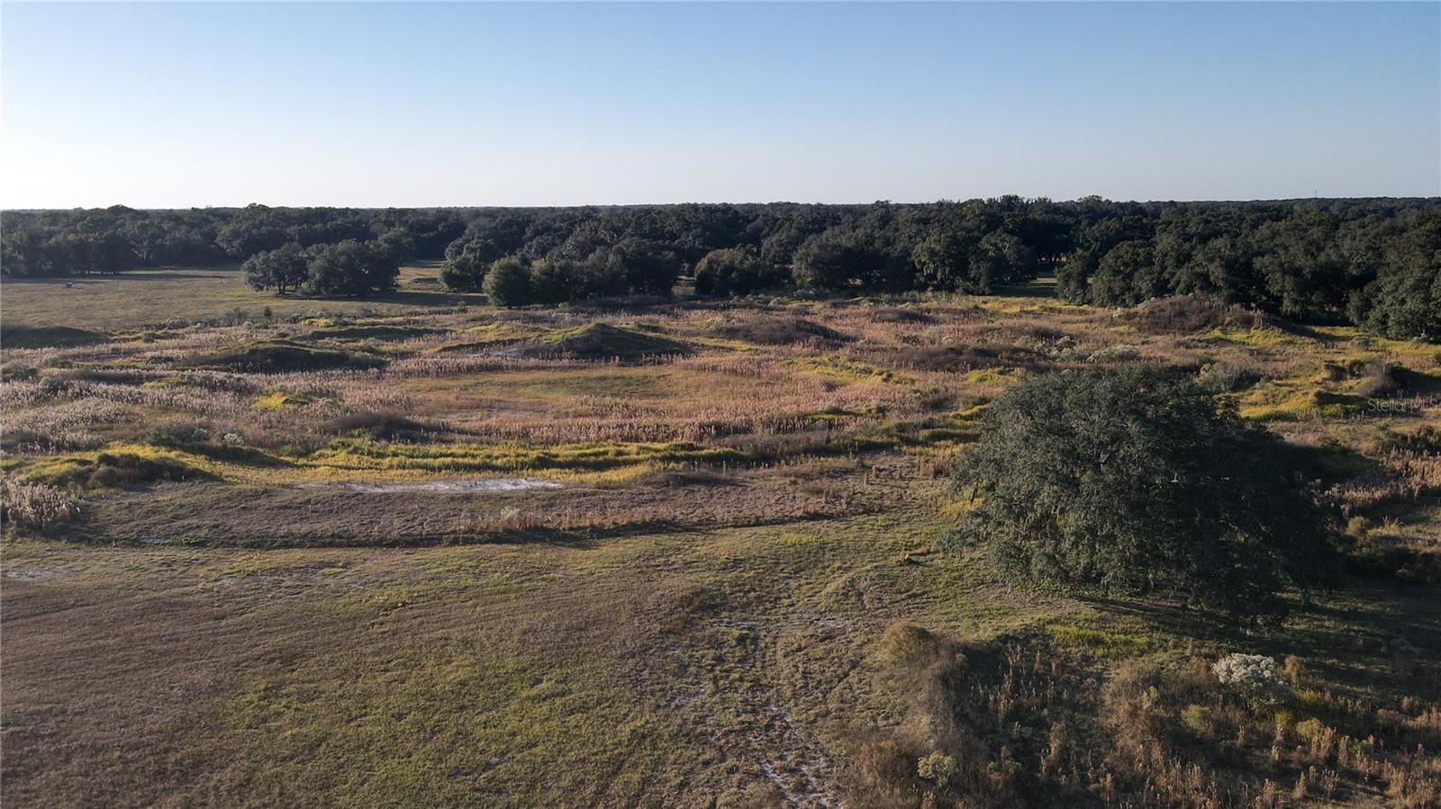 Image 20 of 70 For 7223 55th Street