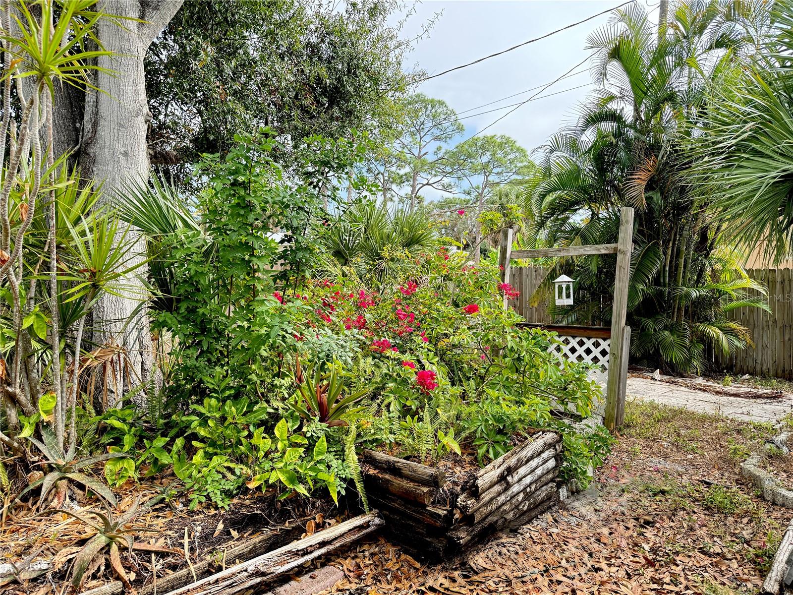 Image 14 of 63 For 161 Dragon Road