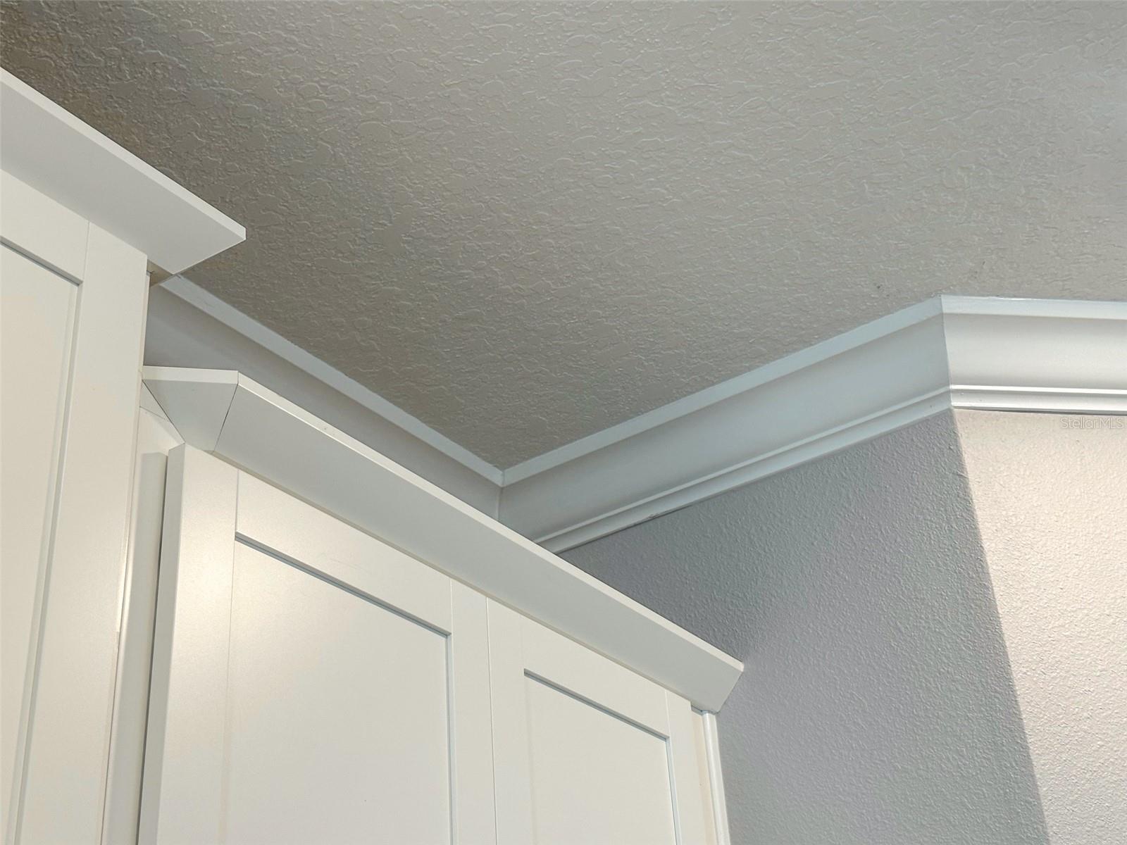 Image 16 of 95 For 17216 Mango Shay Court