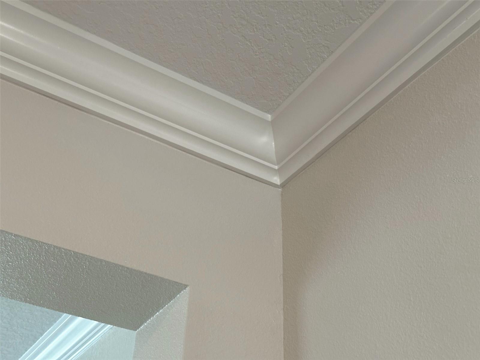 Image 32 of 95 For 17216 Mango Shay Court