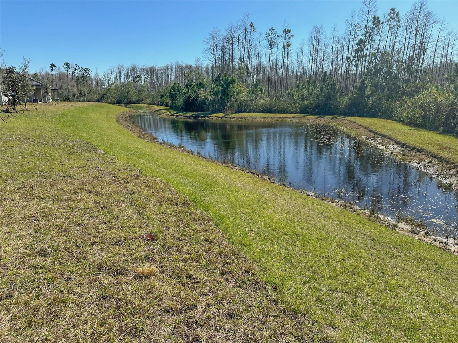 Image 44 of 95 For 17216 Mango Shay Court