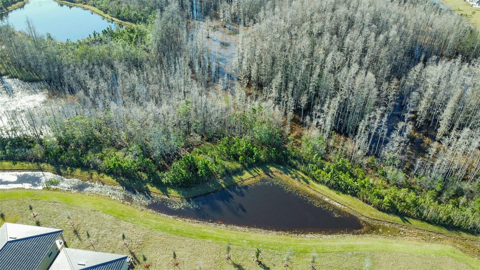 Image 57 of 95 For 17216 Mango Shay Court