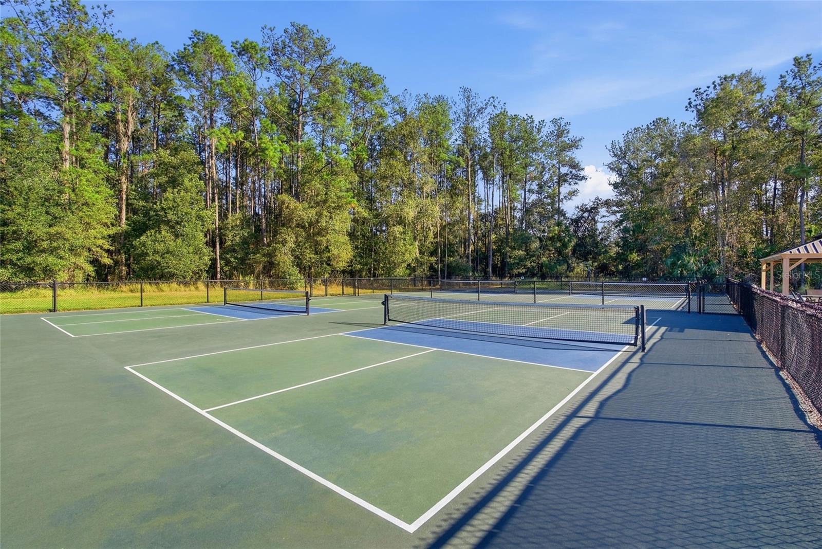 Image 43 of 49 For 19493 Forest Garden Court