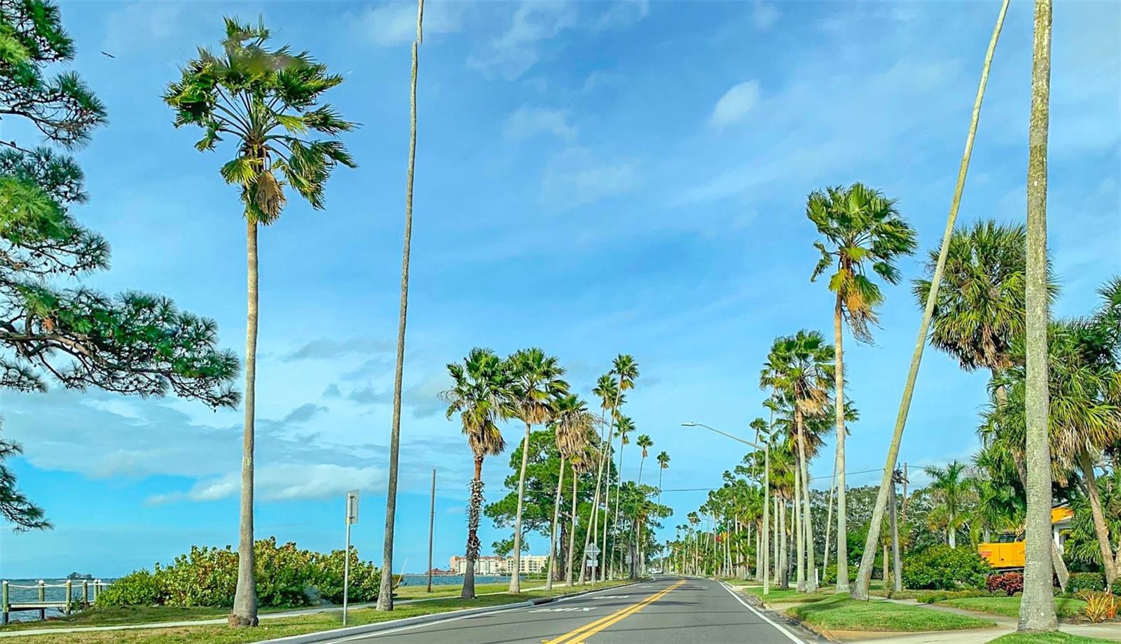 Image 52 of 56 For 708 Lyndhurst  104