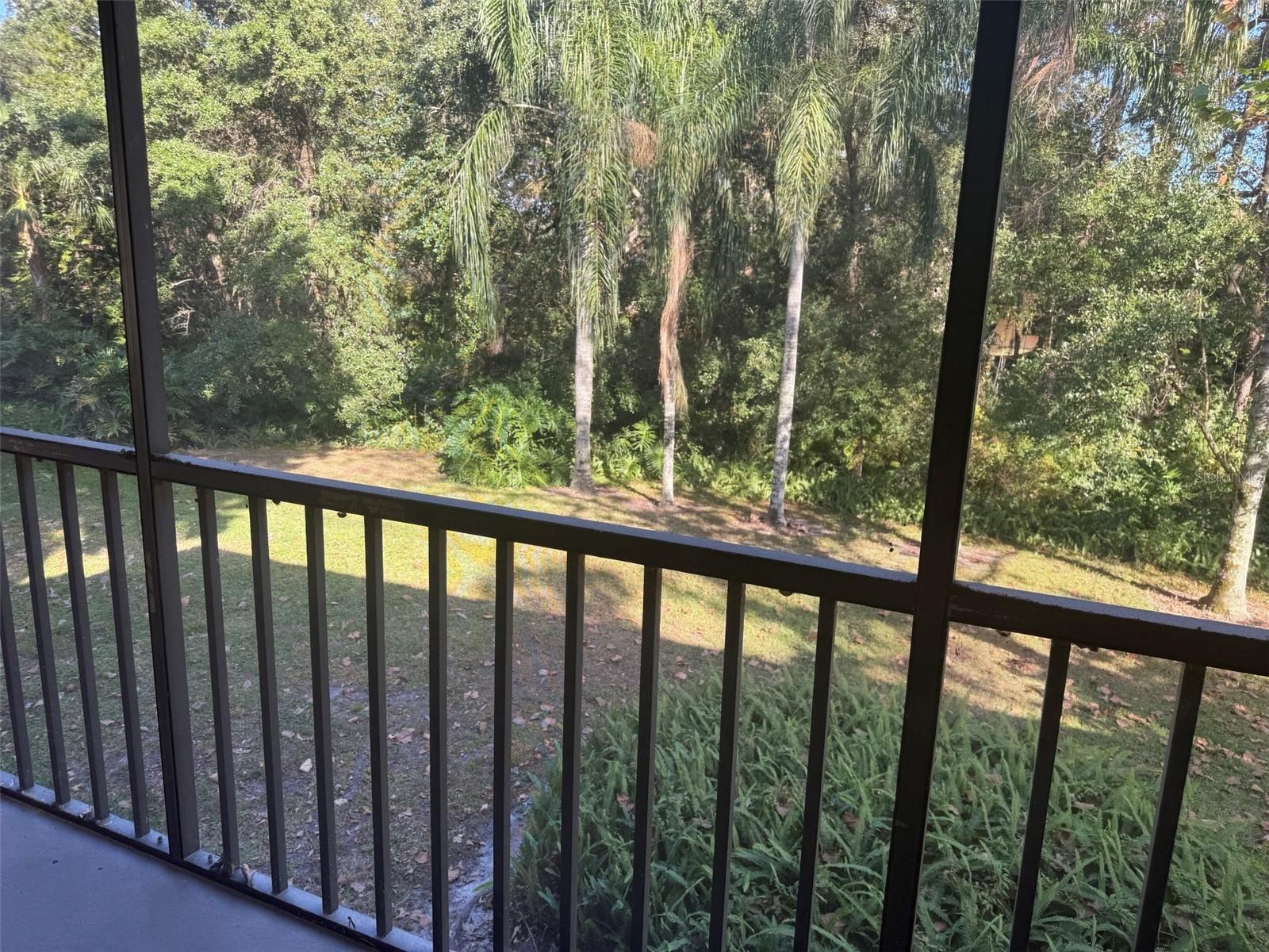 Image 25 of 31 For 11707 Raintree Village Boulevard C