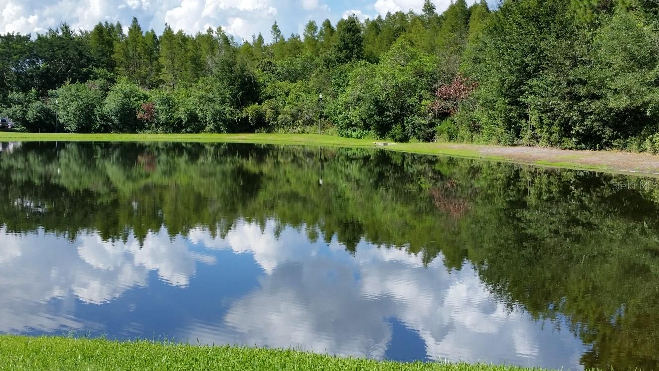 Image 19 of 30 For 4201 Woodstorks Walk Way 3109