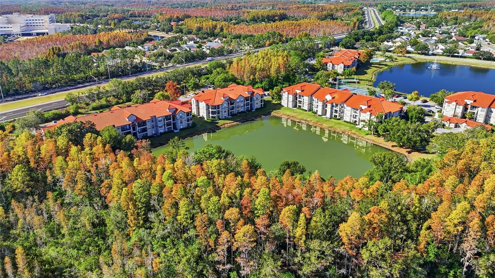 Image 29 of 30 For 4201 Woodstorks Walk Way 3109