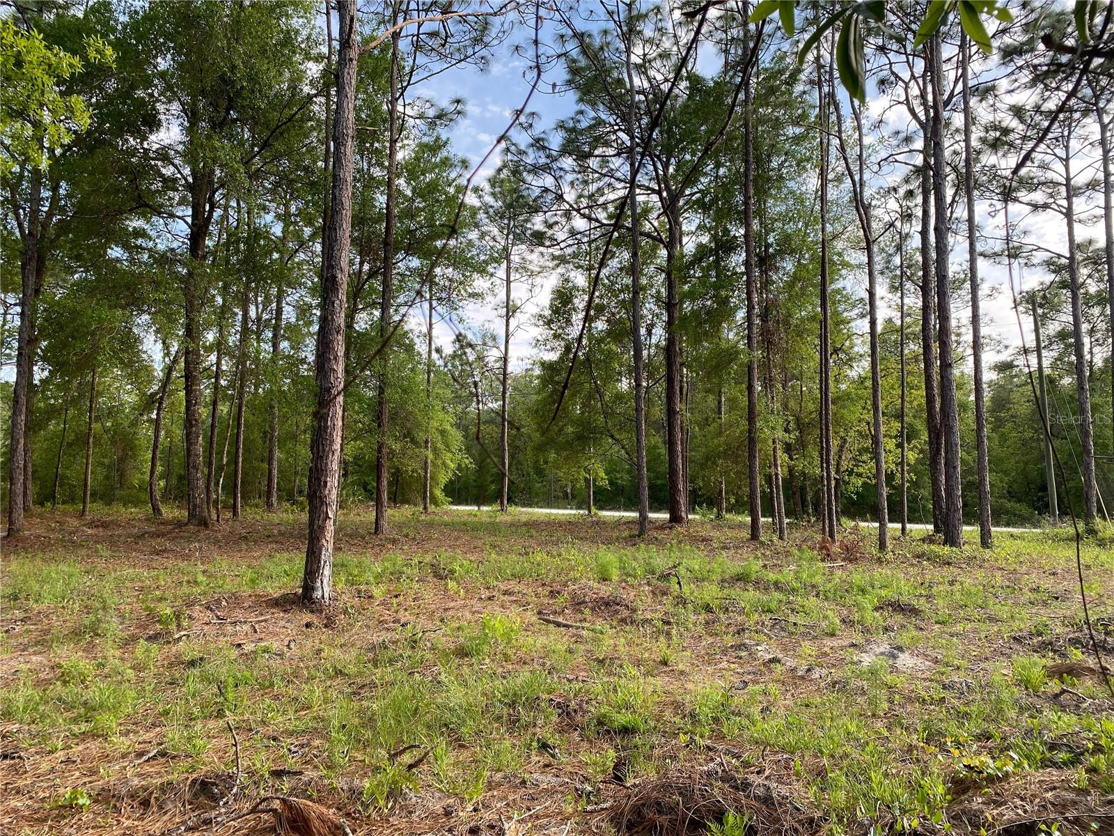 Image 2 of 4 For 15570 Cliff Swallow Road