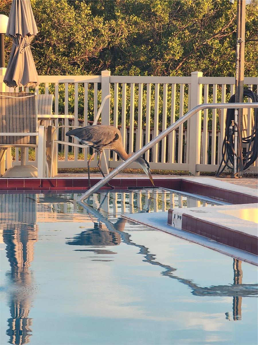 Image 28 of 30 For 6361 Bahia Del Mar Boulevard 104