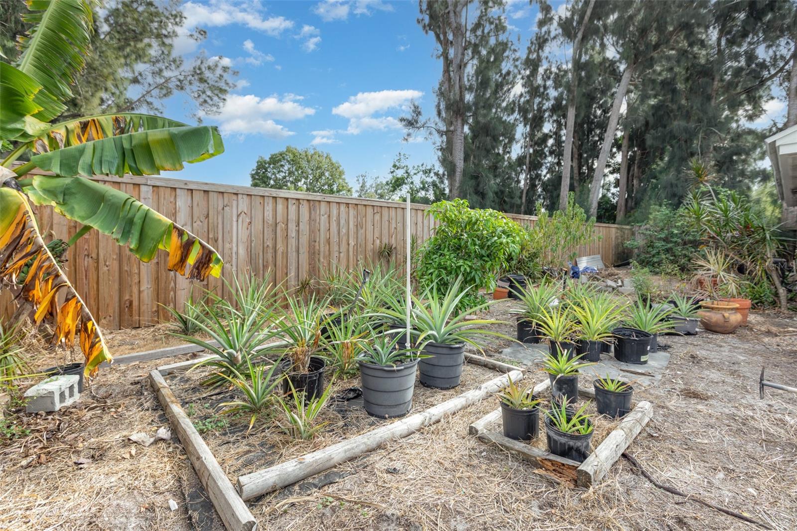 Image 21 of 21 For Address Not Provided