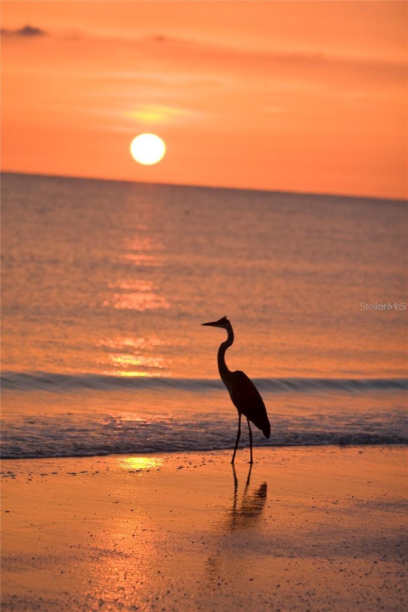 Image 62 of 65 For 7930 Sun Island Dr S 111