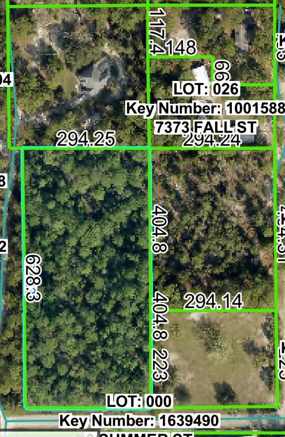 Details for 0 Horn Avenue, BROOKSVILLE, FL 34613