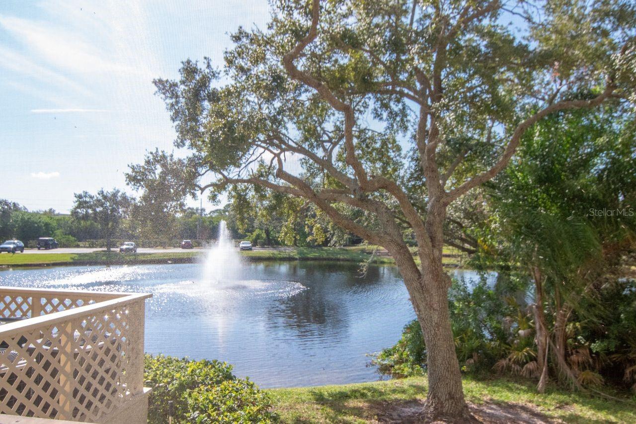 Image 24 of 37 For 115 112th Avenue Ne 602