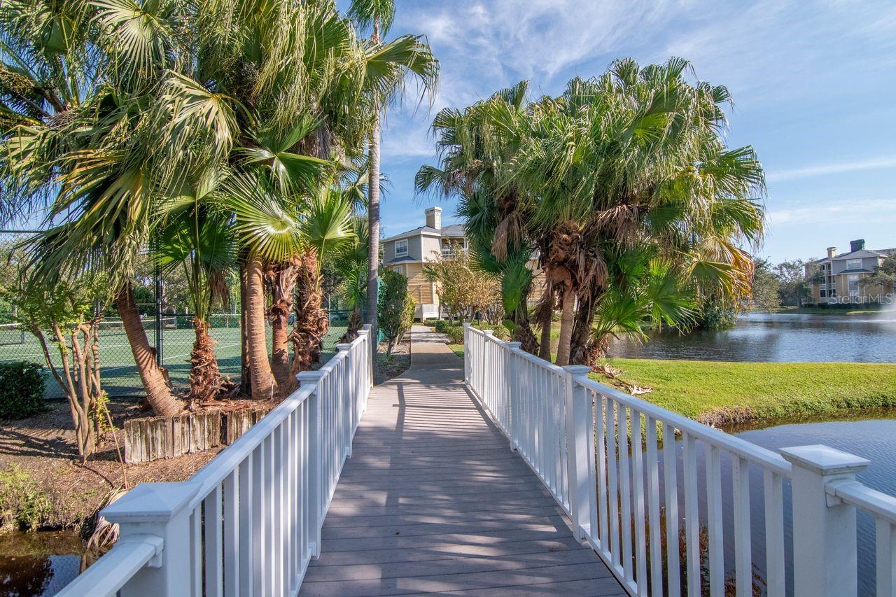 Image 29 of 37 For 115 112th Avenue Ne 602