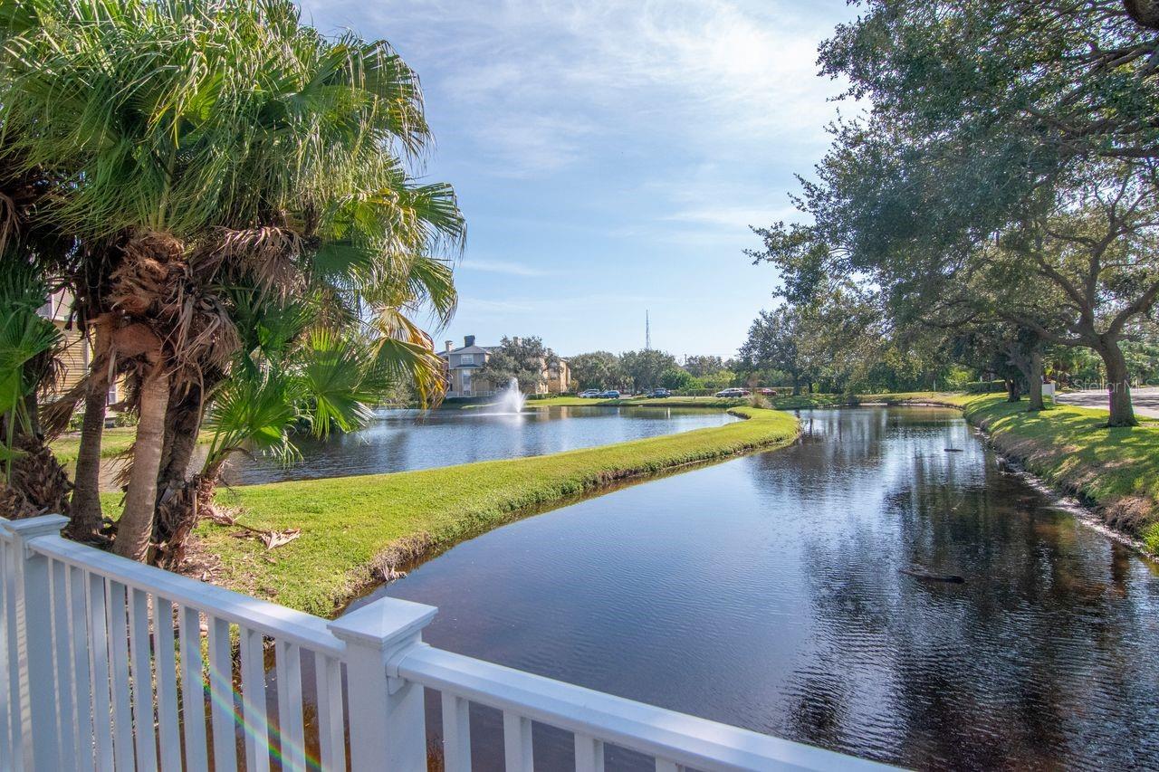 Image 30 of 37 For 115 112th Avenue Ne 602