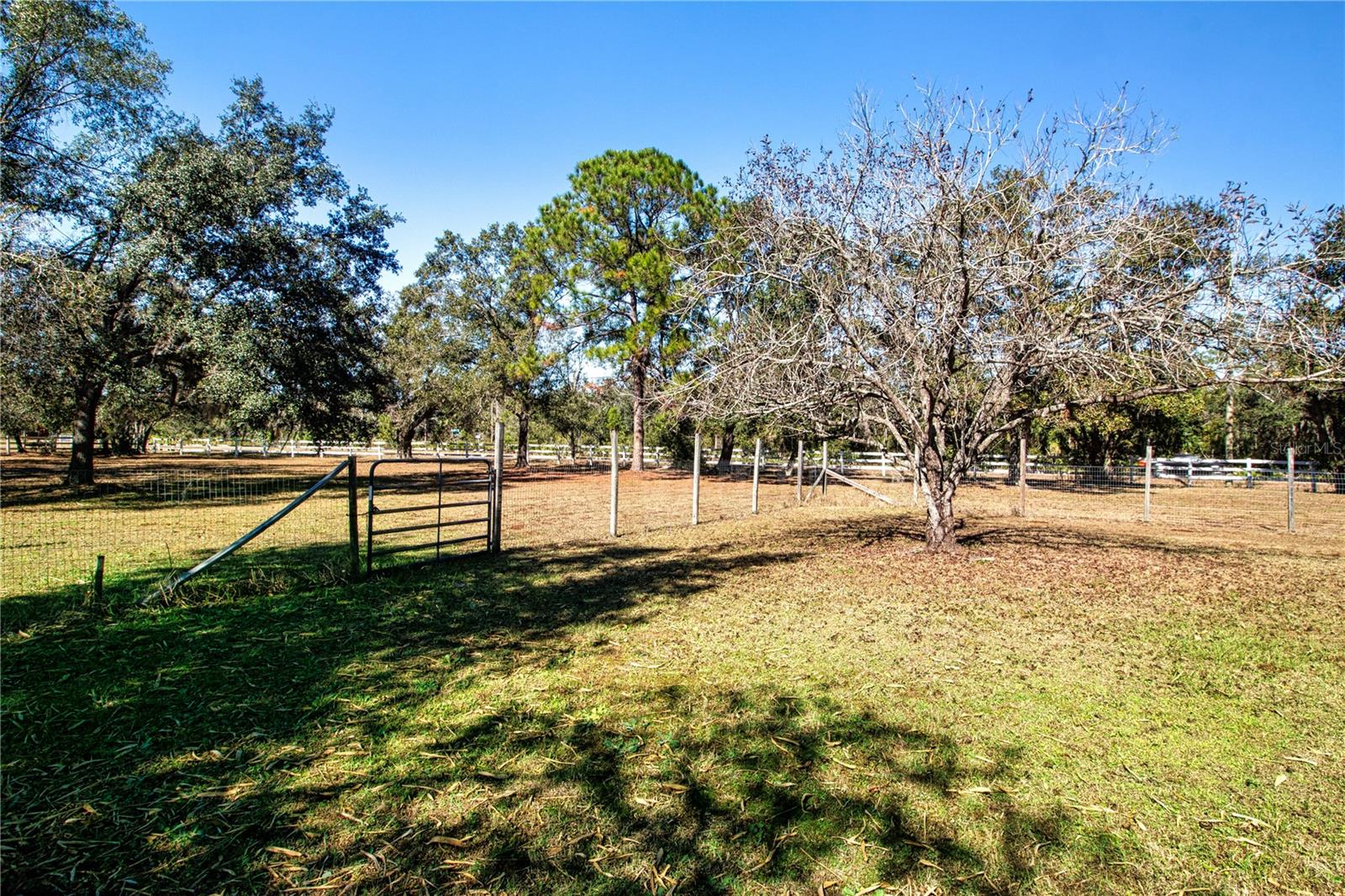 Image 69 of 74 For 403 Indian Meadow Court