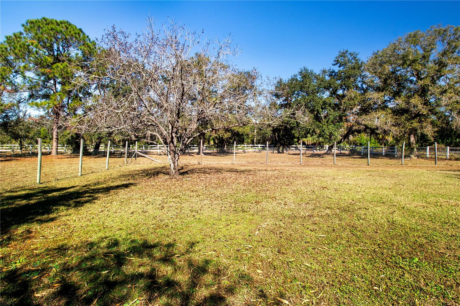 Image 70 of 74 For 403 Indian Meadow Court