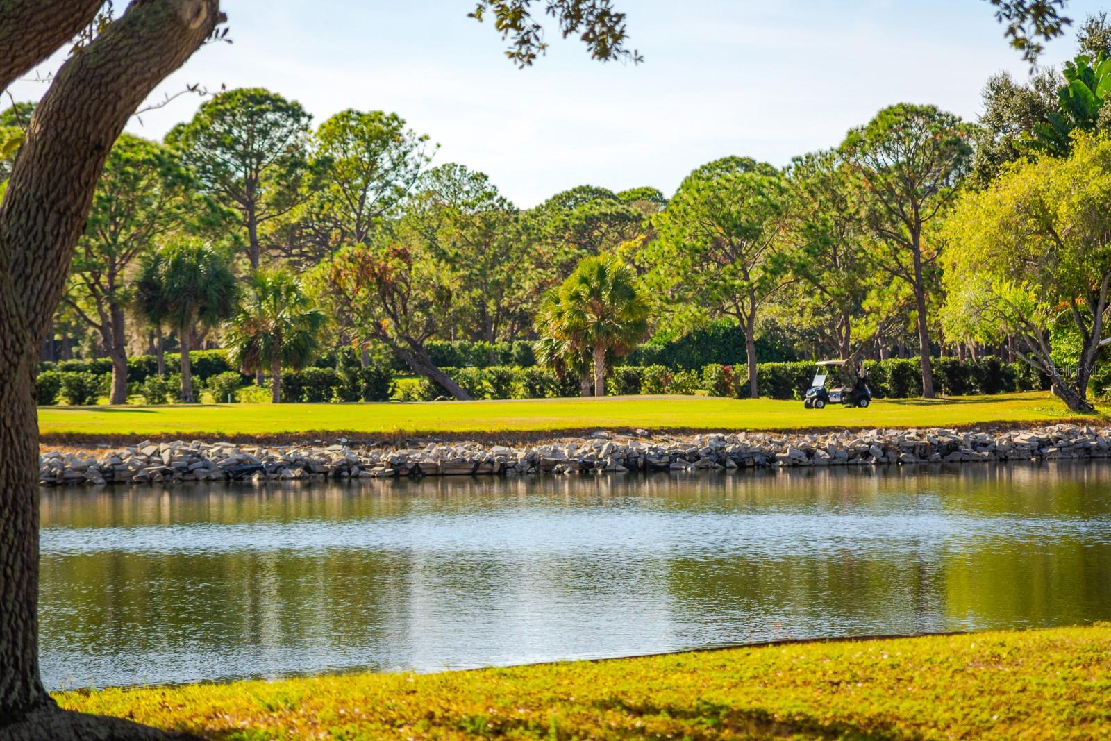 Image 43 of 62 For 2616 Cove Cay Drive 303