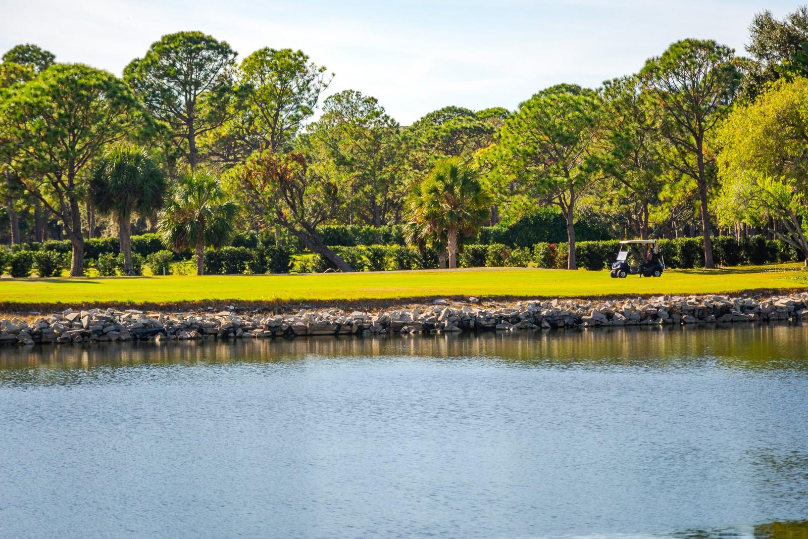 Image 49 of 62 For 2616 Cove Cay Drive 303