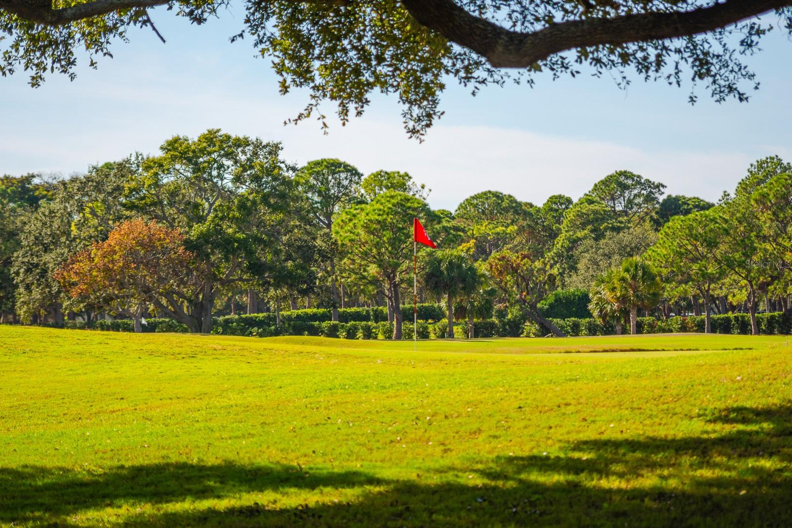 Image 50 of 62 For 2616 Cove Cay Drive 303