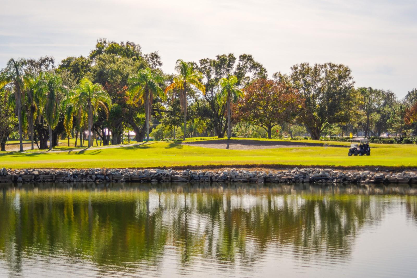 Image 51 of 62 For 2616 Cove Cay Drive 303