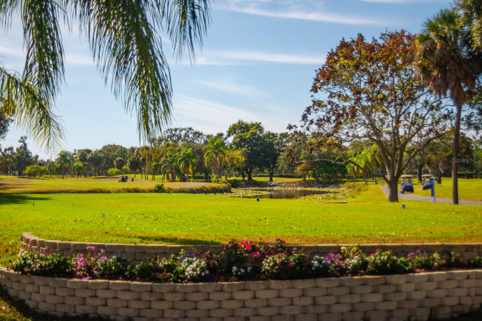 Image 52 of 62 For 2616 Cove Cay Drive 303