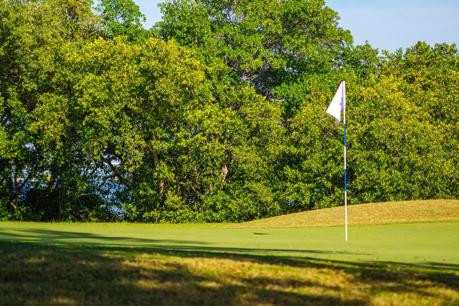 Image 53 of 62 For 2616 Cove Cay Drive 303