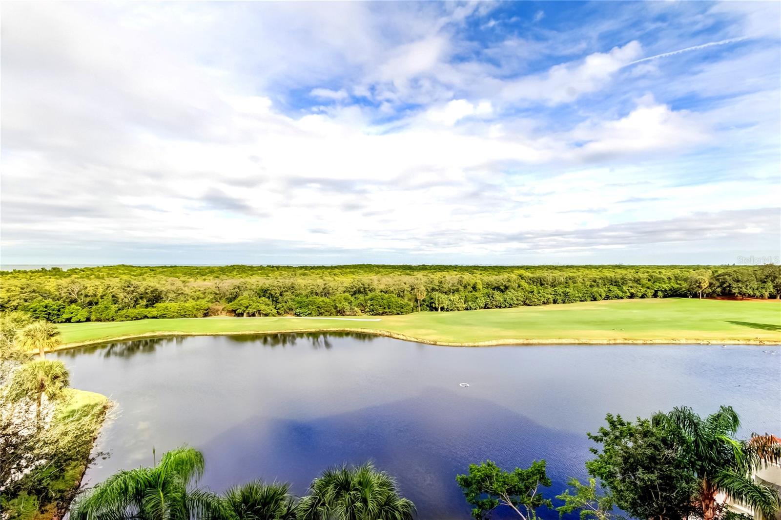 Image 20 of 40 For 2333 Feather Sound Drive B503