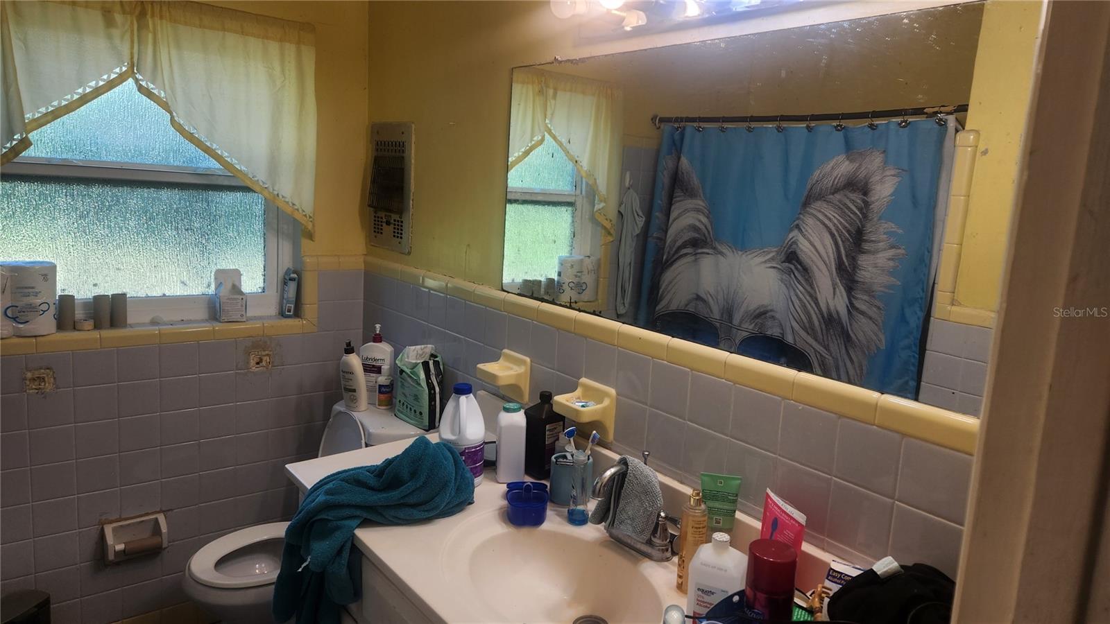 Image 6 of 27 For 736 San Christopher Drive