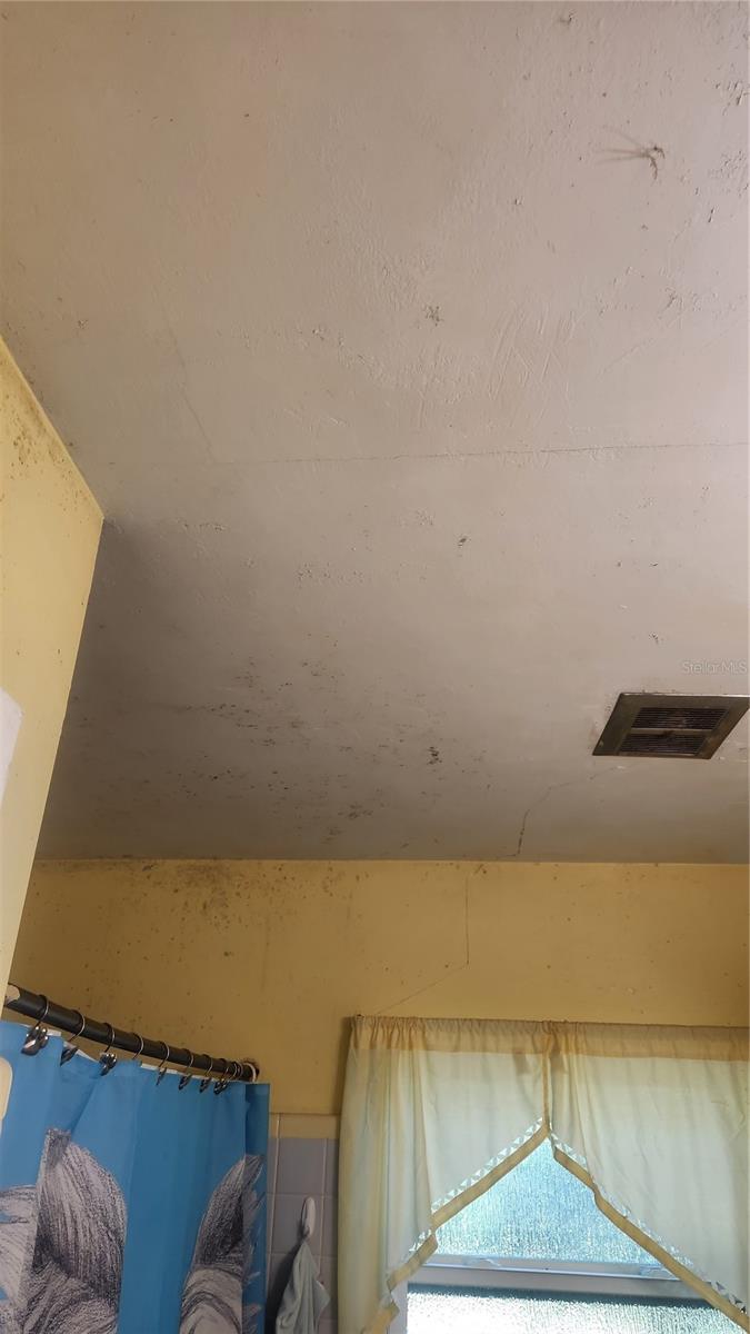 Image 7 of 27 For 736 San Christopher Drive