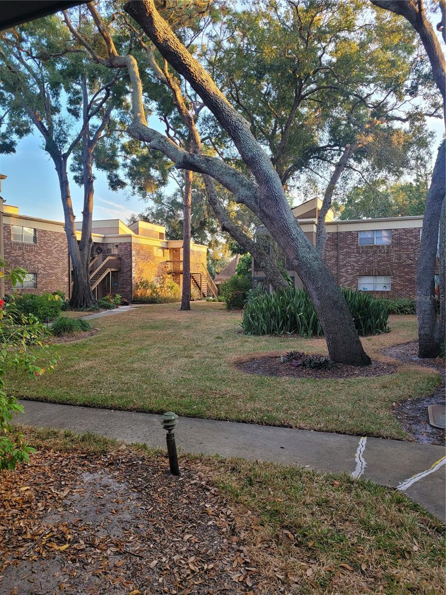 Image 18 of 18 For 10485 Carrollbrook Circle 120