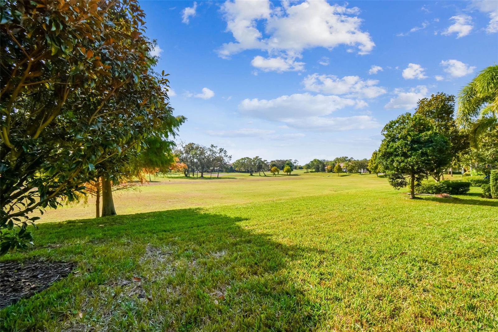 Image 11 of 100 For 1446 Via Verdi Drive