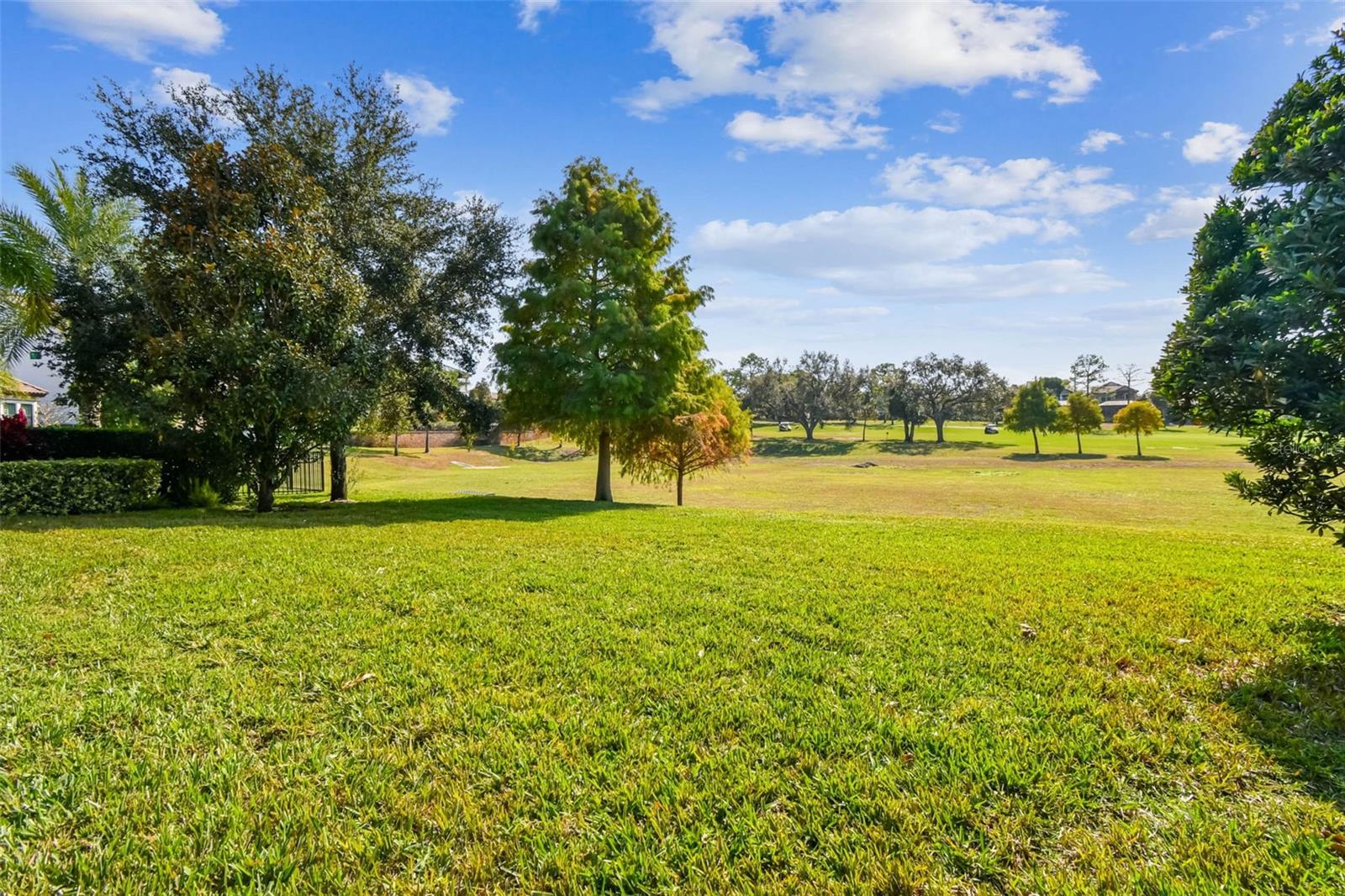 Image 14 of 100 For 1446 Via Verdi Drive