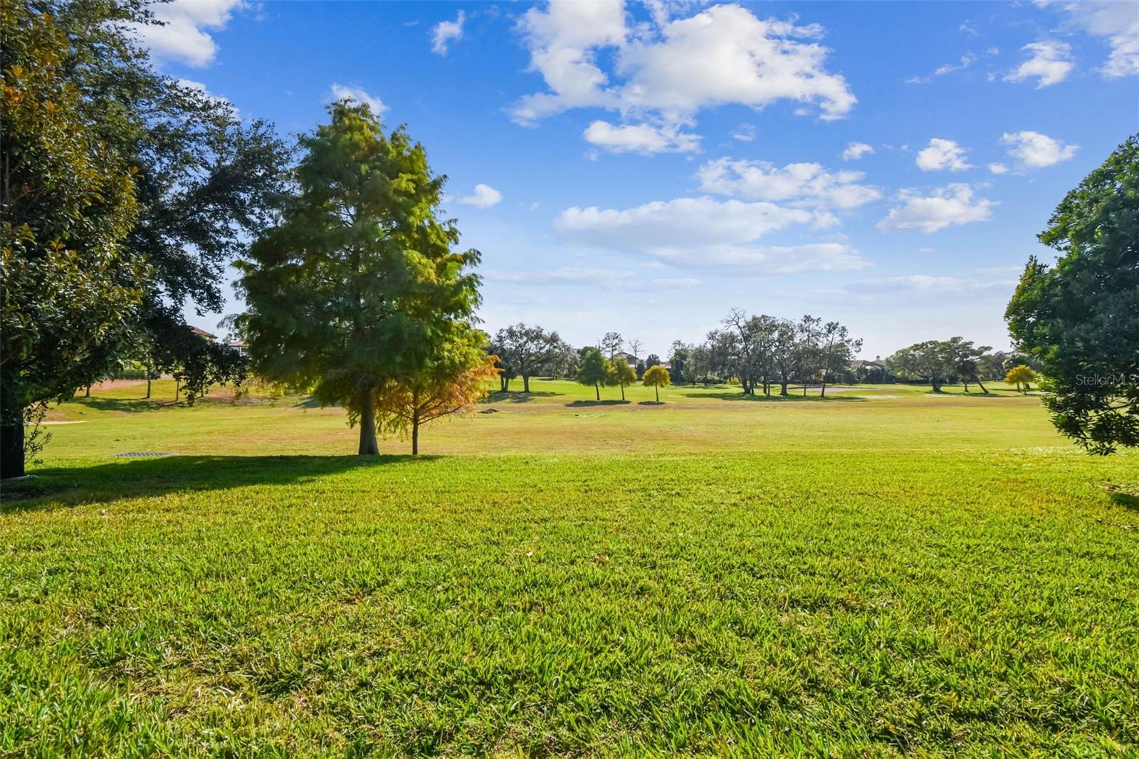 Image 16 of 100 For 1446 Via Verdi Drive