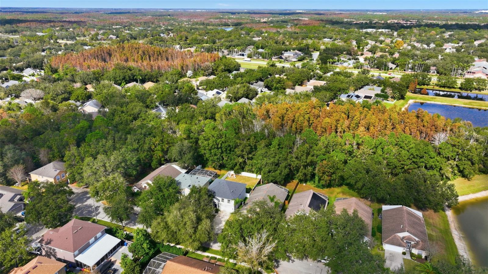 Image 33 of 47 For 8606 Buttonbush Court