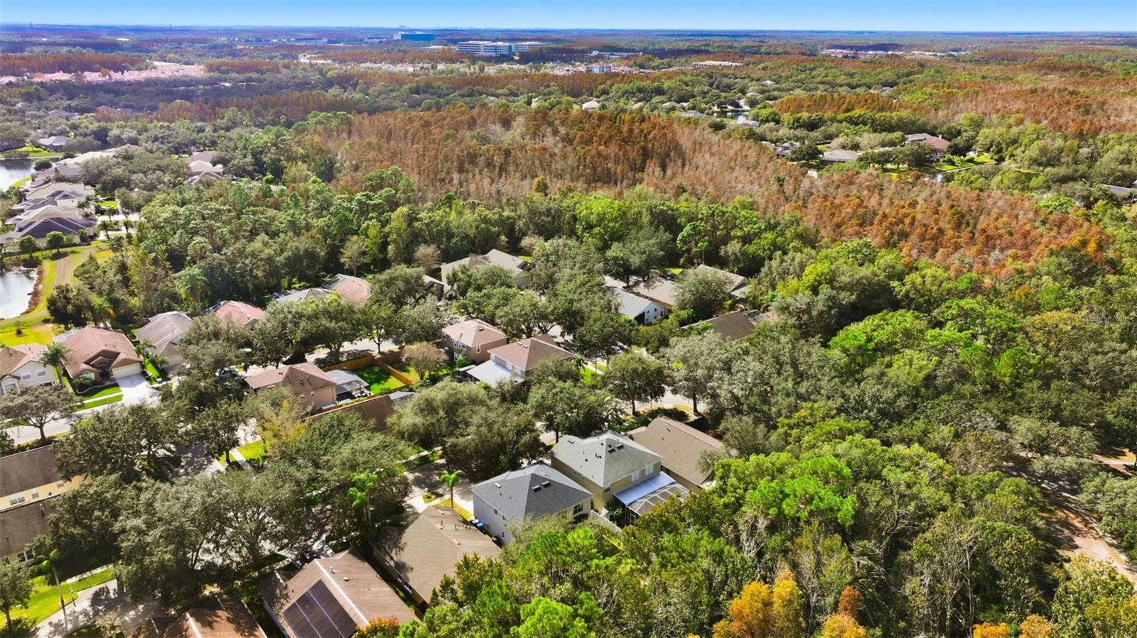 Image 35 of 47 For 8606 Buttonbush Court