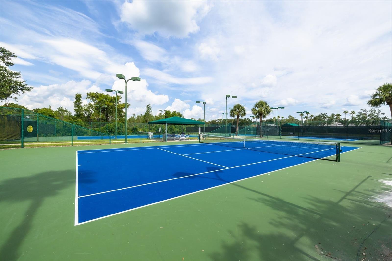 Image 43 of 47 For 8606 Buttonbush Court