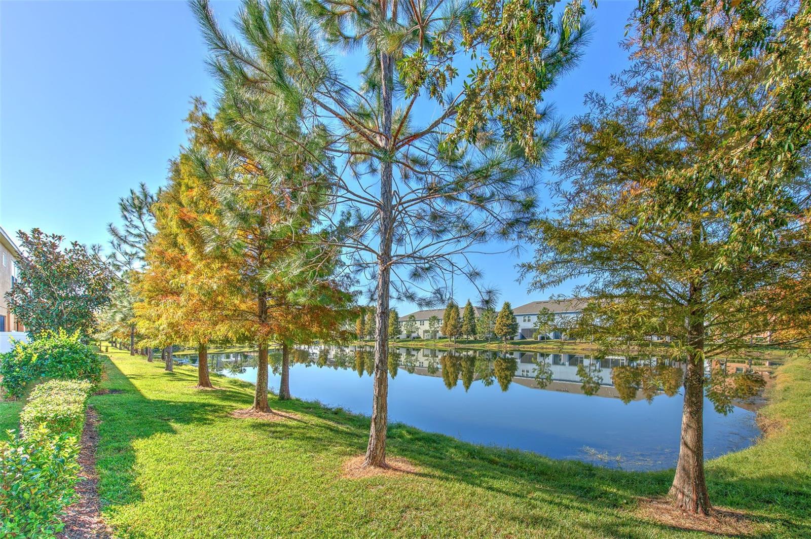 Image 18 of 21 For 18864 Noble Caspian Drive