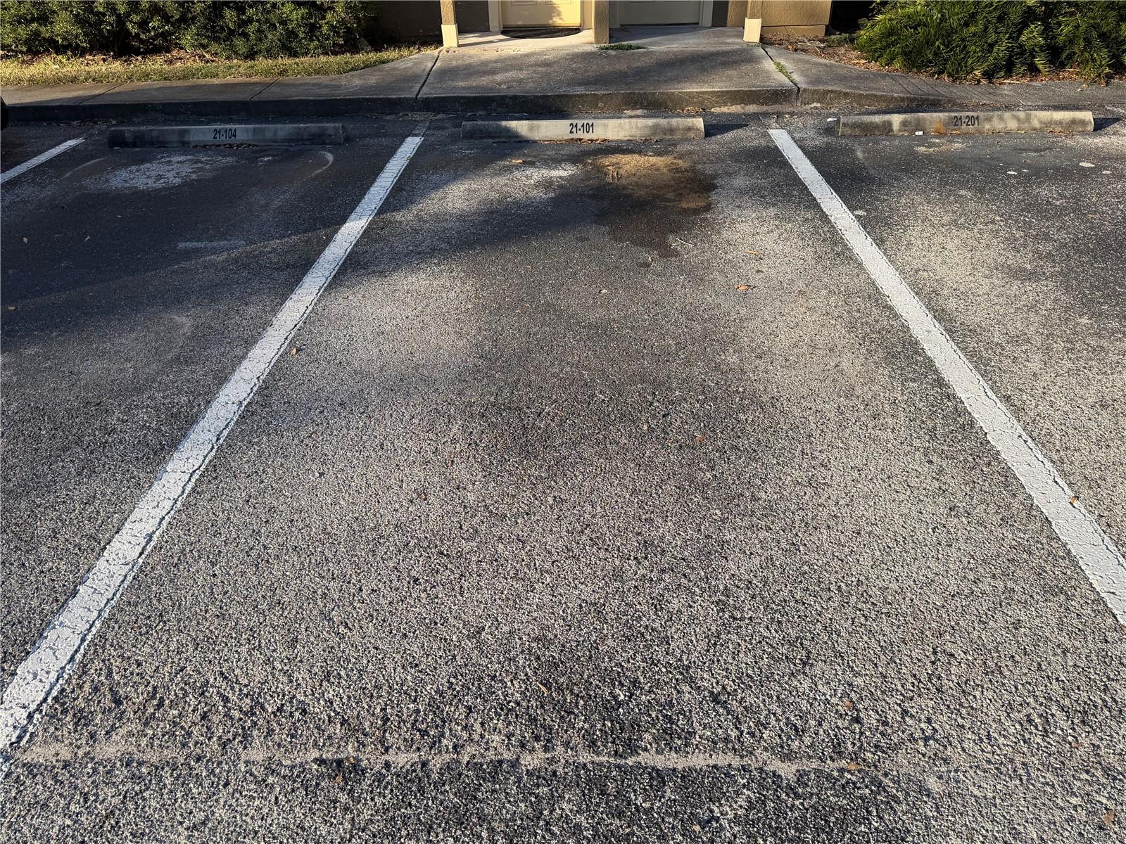 Image 13 of 13 For 36027 Deer Creek Drive 101