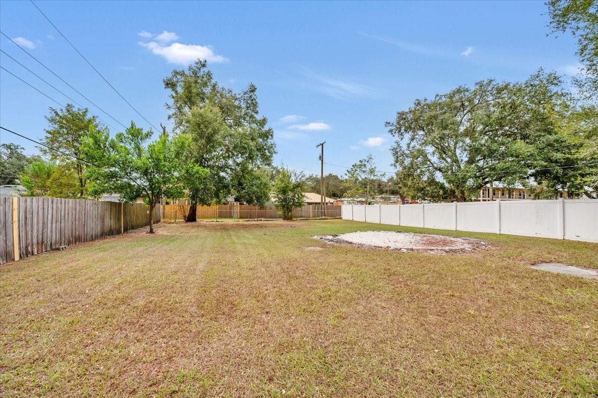 Image 25 of 31 For 307 Carleton Street