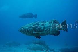 Image 29 of 37 For 16 Paradise Lane 101