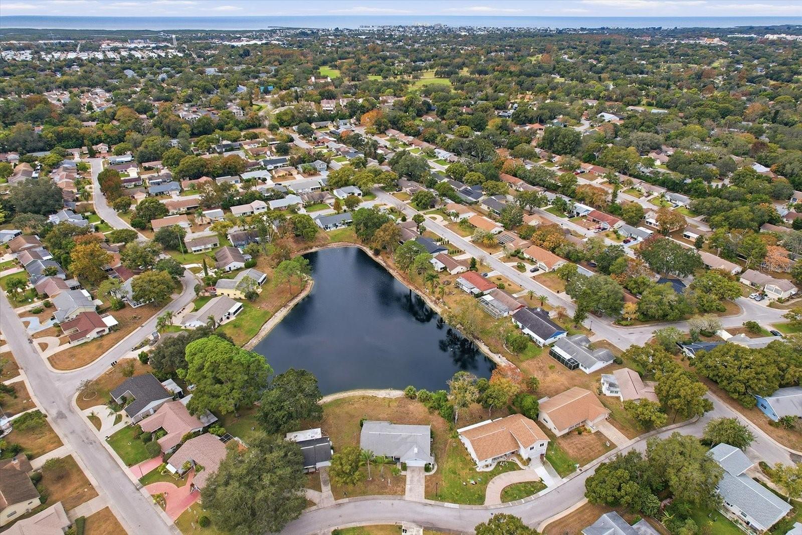 Image 43 of 46 For 12303 Fieldstone Lane